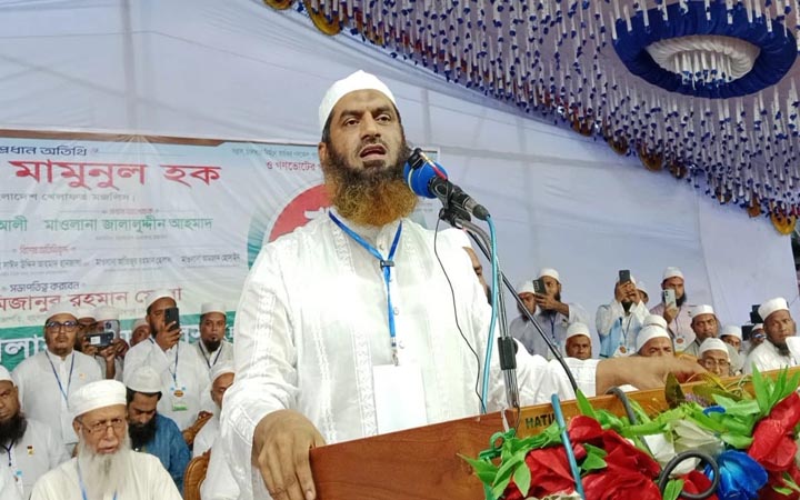 গণভোট অবৈধ হলে বর্তমান সরকারও অবৈধ: মামুনুল হক